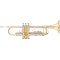 Bb trumpet Arnolds & Sons ATR 235