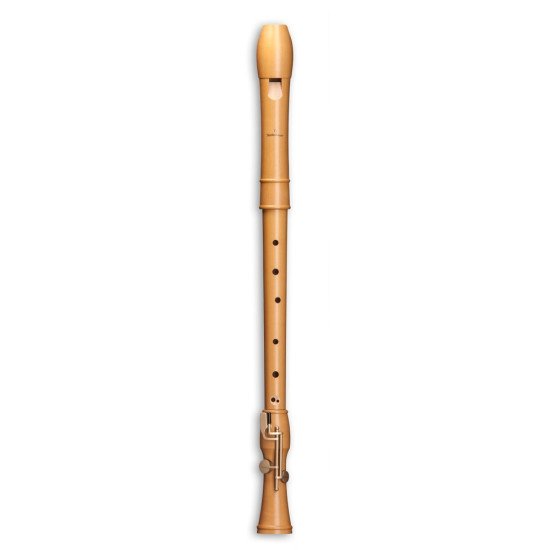 Mollenhauer Canta tenor 2446