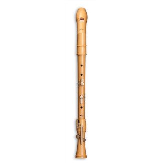 Mollenhauer Canta Comfort tenor 2446KC Mollenhauer Canta Comfort tenor 2446KC