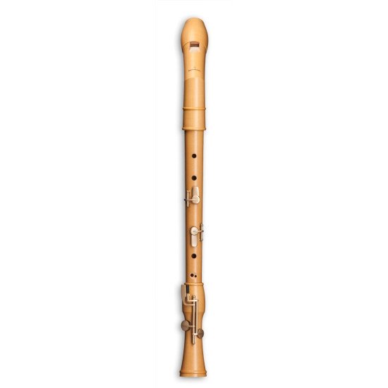 Mollenhauer Canta Comfort tenor 2446KC