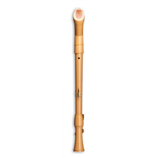 Mollenhauer Canta Comfort tenor 2446KC