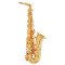 Alto saxophone RYU RSA Academy