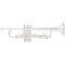 Bb trumpet Arnolds & Sons Terra ATR 5200GS