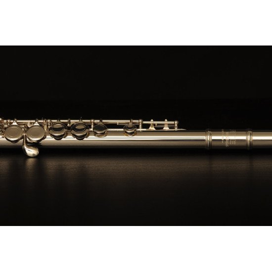 Priečna flauta Arte AFL 111 SL