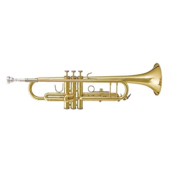 Bb trúbka Bach TR 305