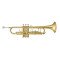 Bb trumpet Bach TR 305