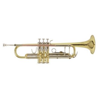Bb trumpet Bach TR 501