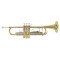 Bb trumpet Bach TR 501