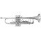 Bb trumpet Bach TR 501 S