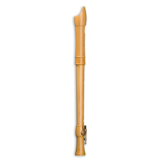 Mollenhauer Canta alt 2246