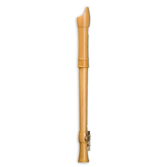Mollenhauer Canta alt 2246