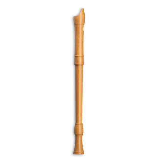 Mollenhauer Canta tenor 2406