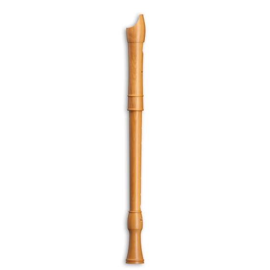 Mollenhauer Canta tenor 2406