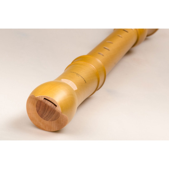 Mollenhauer Canta tenor 2406