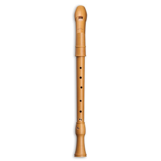 Mollenhauer Canta tenor 2406K