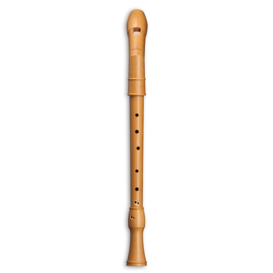 Mollenhauer Canta tenor 2406K