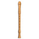 Mollenhauer Canta tenor 2406K