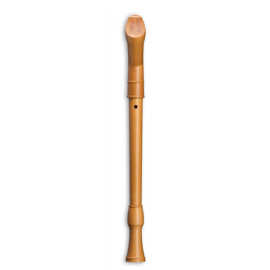 Mollenhauer Canta tenor 2406K
