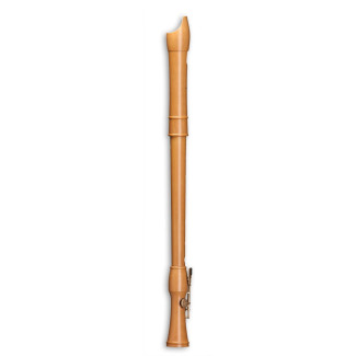 Mollenhauer Canta tenor 2446