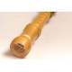 Mollenhauer Canta tenor 2446