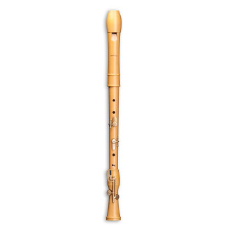 Mollenhauer Canta Comfort tenor 2446C 