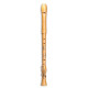 Mollenhauer Canta Comfort tenor 2446C 