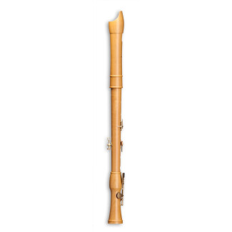 Mollenhauer Canta Comfort tenor 2446C 