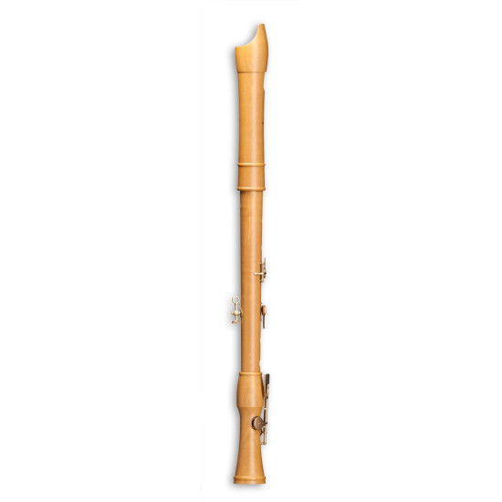 Mollenhauer Canta Comfort tenor 2446C 