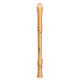 Mollenhauer Canta Comfort tenor 2446C 