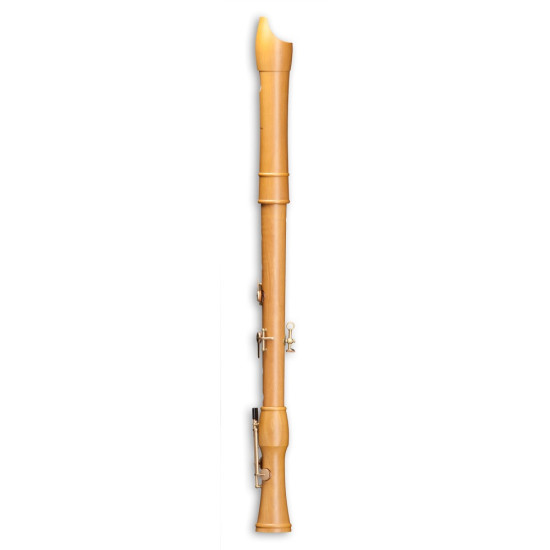 Mollenhauer Canta Comfort tenor 2446C 
