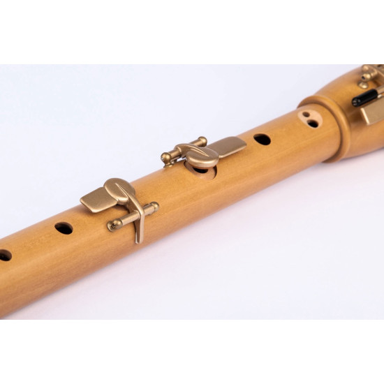 Mollenhauer Canta Comfort tenor 2446C 
