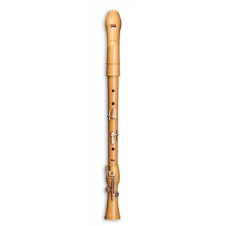 Mollenhauer Canta Comfort tenor 2446KC