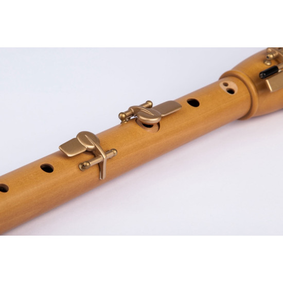 Mollenhauer Canta Comfort tenor 2446KC
