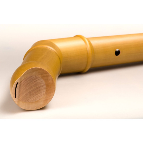 Mollenhauer Canta bas 2546K