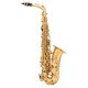 Alto saxophone Victory VAS Student 02