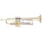 Trumpet Yamaha YTR 8345 RG 02